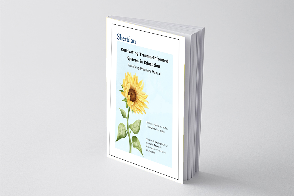 Trauma-Informed Education Manual: Accessible & Soothing